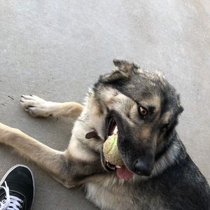 Meet your Posher, Anthony